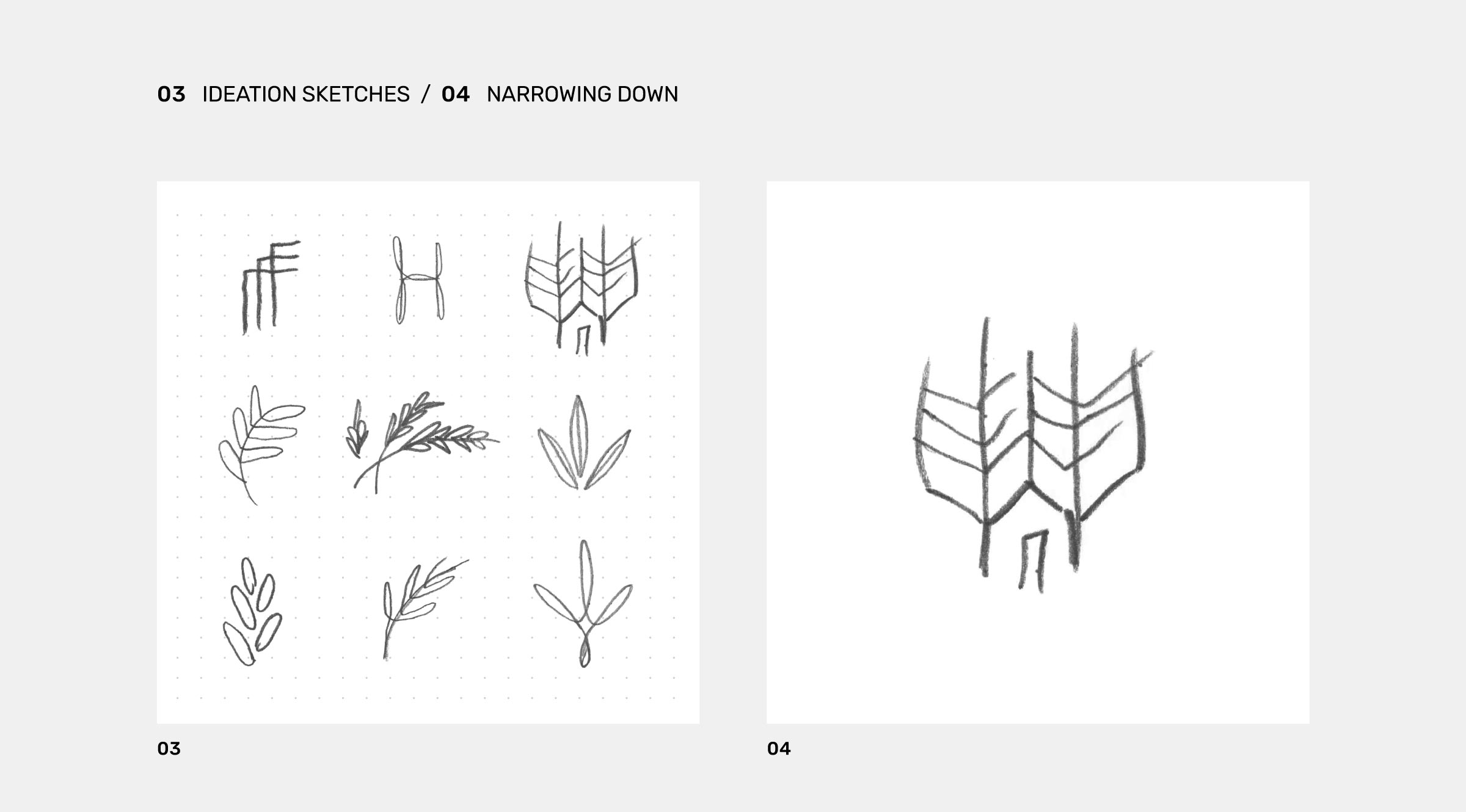 Harvester Identity Sketches